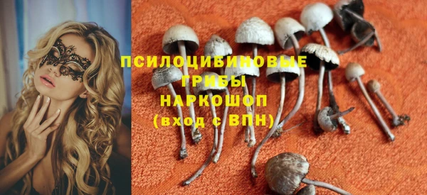 крисы Наволоки