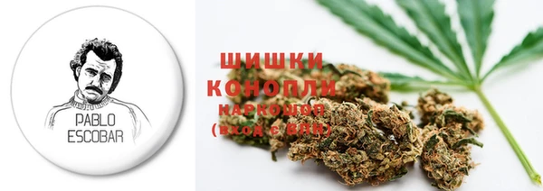 крисы Наволоки