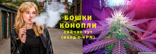крисы Наволоки