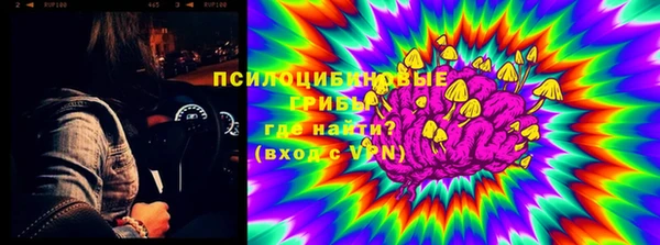 крисы Наволоки