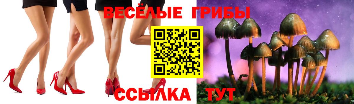 где купить наркотик  Галлюциногенные грибы Psilocybe  Вход с VPN  Махачкала 